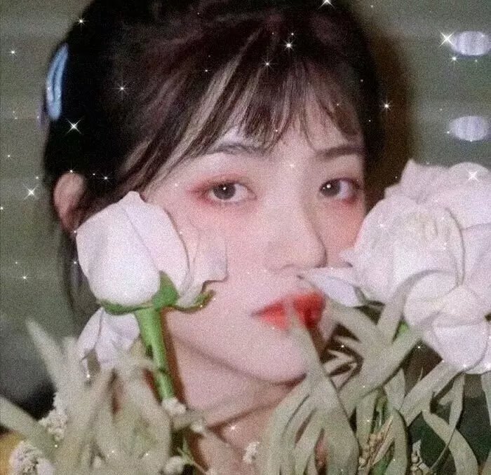 658公里,阳子的旅途